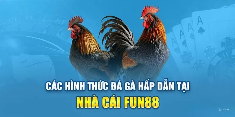 Các hình thức đá gà cực hấp dẫn tại Fun88