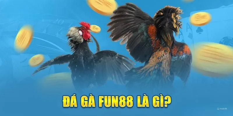 Đá gà Fun88 cùng những thông tin cần biết